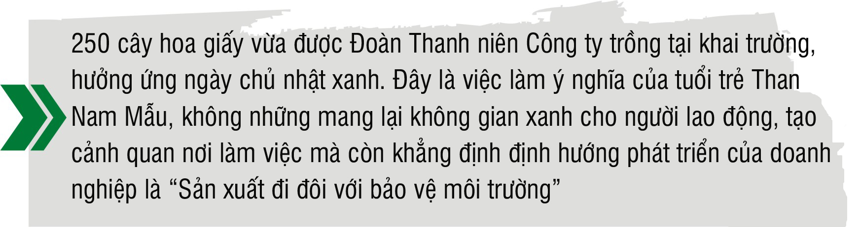 Đoàn TN đồng hành cùng chuyên môn trên mọi hoạt động